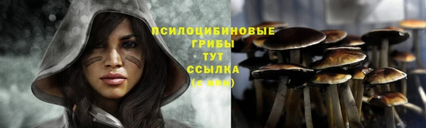 MESCALINE Лихославль