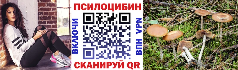 Псилоцибиновые грибы ЛСД Чегем